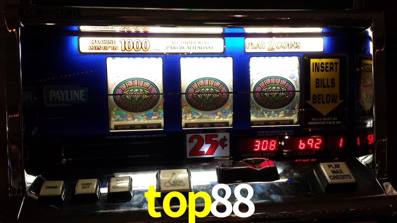 VIP Casino top88
