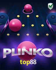 TOP88.COM